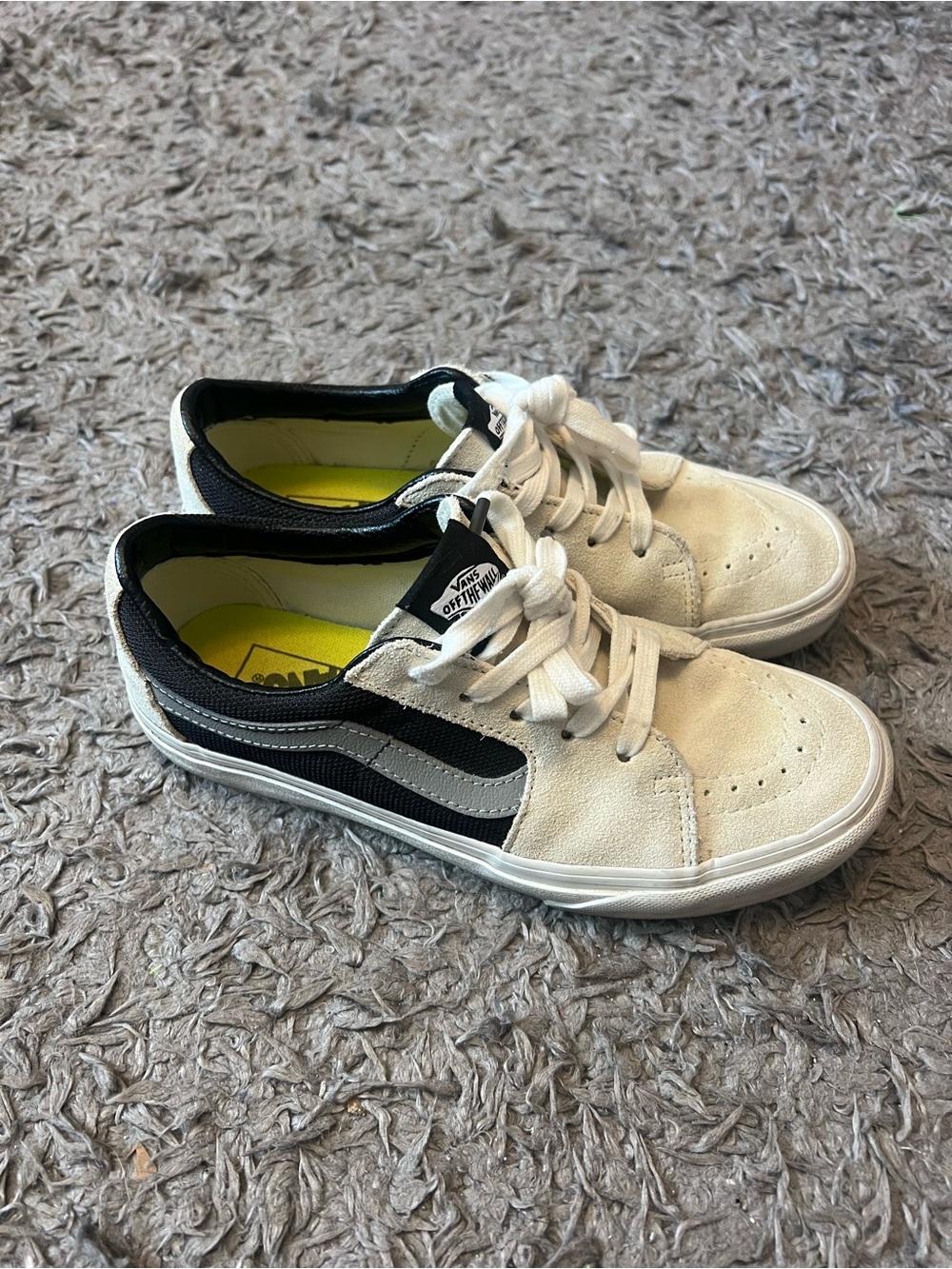 Vans Low-Top Skate Shoes